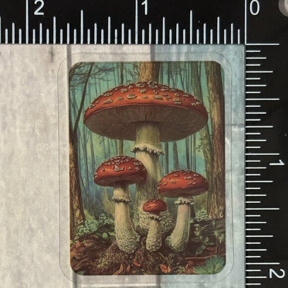 🌀10/$10🌀 Translucent Retro Mushroom Fairy Tale Reusable Waterproof Sticker Dec - Picture 1 of 1